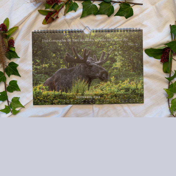 Norwegen-Kalender 2026